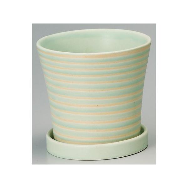 Aؔ  GC`c[I[ pXezxk CgO[ H1260 6 K[fjO |pi t[|bg  Z~bN