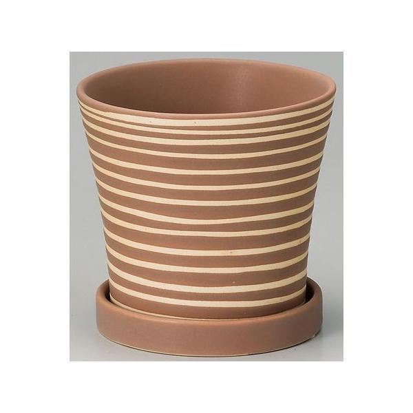 Aؔ  GC`c[I[ pXezxk uE H1262 6 K[fjO |pi t[|bg  Z~bN