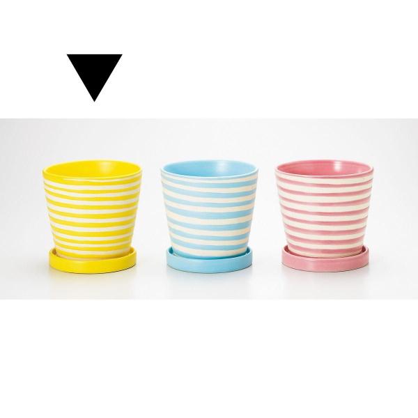 Aؔ  GC`c[I[ pXezxr CG[ H1662 6 K[fjO |pi t[|bg  Z~bN