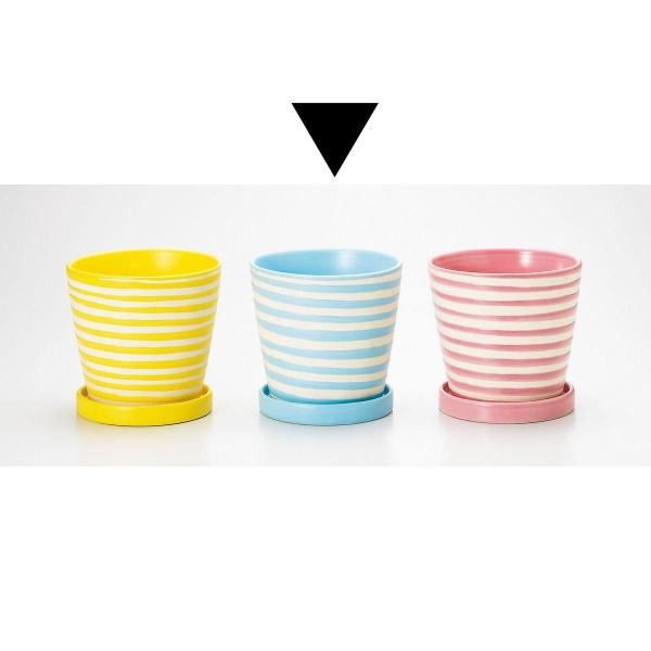 Aؔ  GC`c[I[ pXezxr Cgu[ H1664 6 K[fjO |pi t[|bg  Z~bN