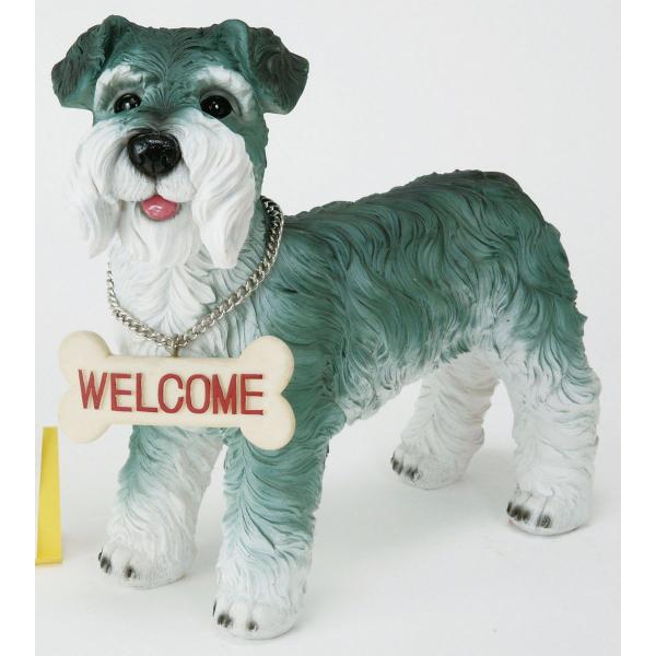 GC`c[I[ veBEFJhbN ViCU[ H2607 2 |pi K[fjOG I[ig u I[ig