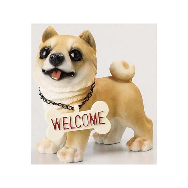 GC`c[I[ u[EFJhbNr H2984 14 |pi K[fjOG I[ig u I[ig