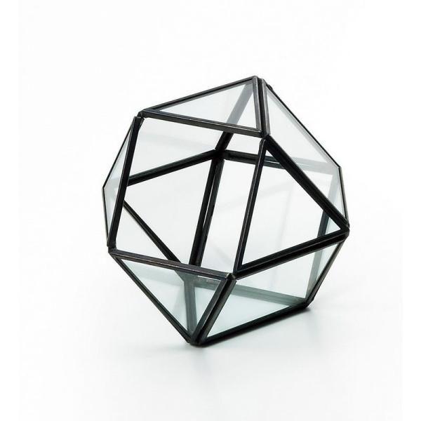 GC`c[I[ WIeBbNKX{bNXr HT6210 2 Ԋ ԕr h[AKXh[