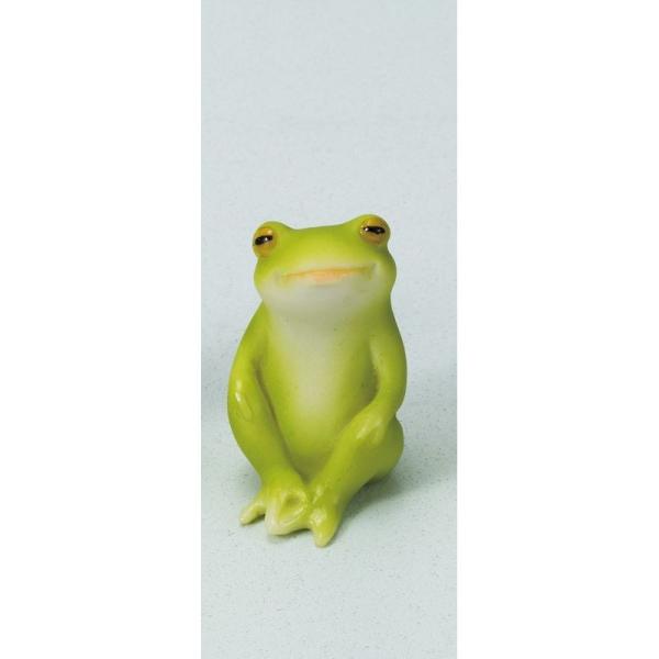 GC`c[I[ Jg[~jJG HT6602 12 |pi K[fjOG I[ig u I[ig