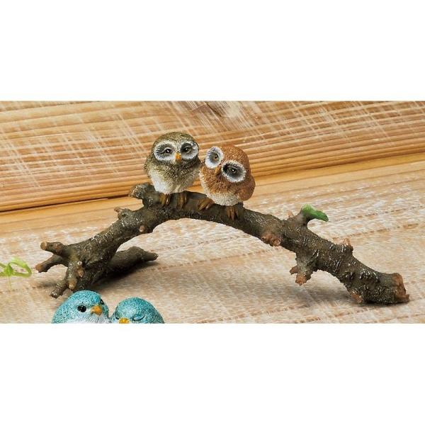 GC`c[I[ Jg[~jtNE HT6622 4 |pi K[fjOG I[ig u I[ig