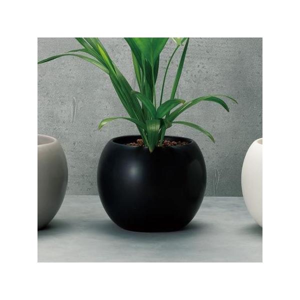 Aؔ  GC`c[I[ {X^|bgk ubN HT7188 3 K[fjO |pi t[|bg  Z~bN