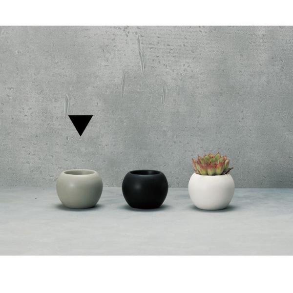 Aؔ  GC`c[I[ {X^|bgr O[ HT7195 6 K[fjO |pi t[|bg  Z~bN