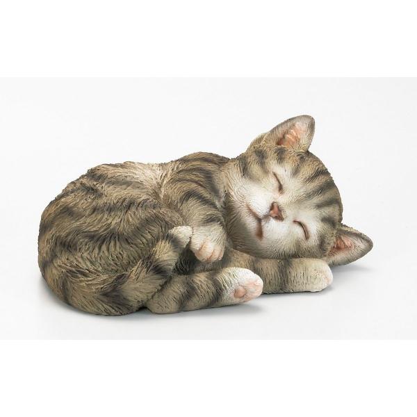 GC`c[I[ qL O[g HT7374 3 |pi K[fjOG I[ig u I[ig