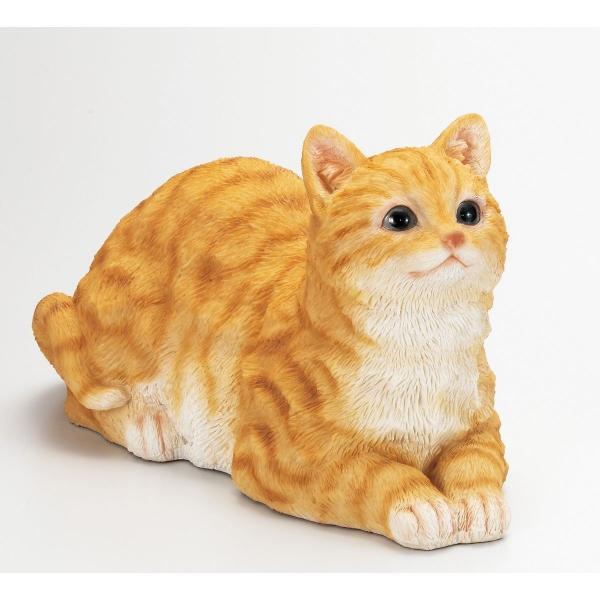 GC`c[I[ qL `g HT7379 |pi K[fjOG I[ig u I[ig