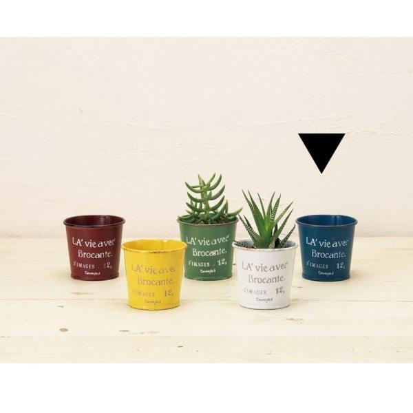 GC`c[I[ uL|bgrr u[ HT7407 6 |pi Aؔ t[|bg ACA uL