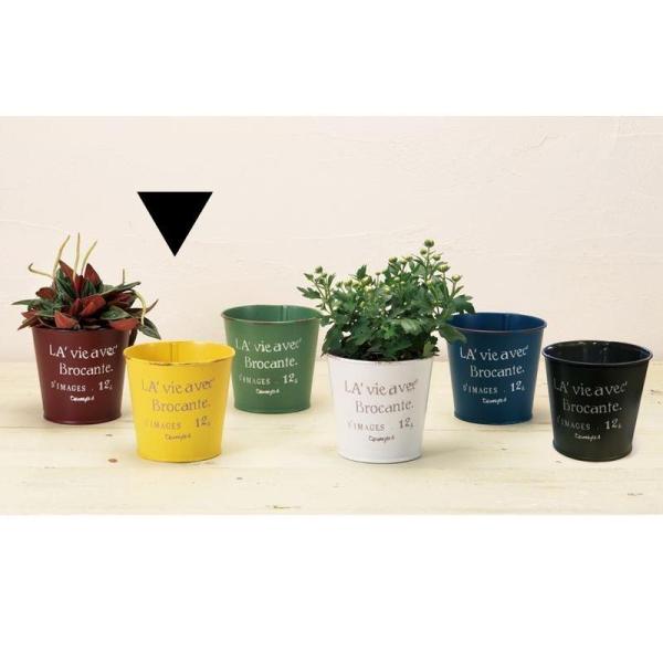 Aؔ  GC`c[I[ uL|bgl CG[ HT7414 6 K[fjO |pi t[|bg ACA uL