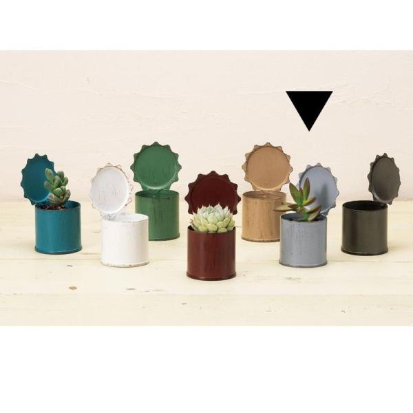 Aؔ  GC`c[I[ uL|bg~j O[ HT7422 6 K[fjO |pi t[|bg ACA uL