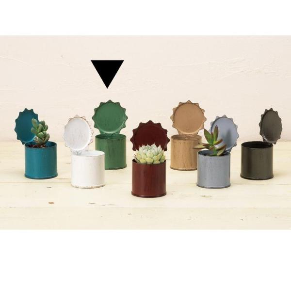 Aؔ  GC`c[I[ uL|bg~j O[ HT7430 6 K[fjO |pi t[|bg ACA uL