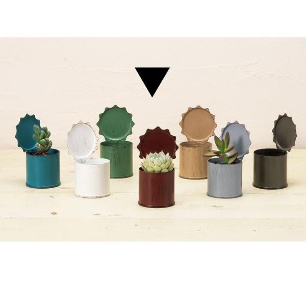 Aؔ  GC`c[I[ uL|bg~j bh HT7431 6 K[fjO |pi t[|bg ACA uL