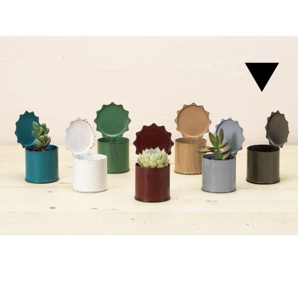 Aؔ  GC`c[I[ uL|bg~j J[N HT7455 6 K[fjO |pi t[|bg ACA uL