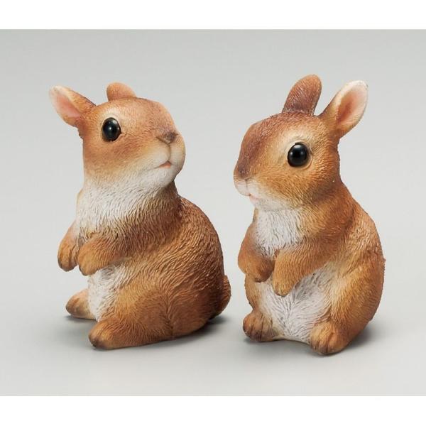 GC`c[I[ X̒Ԃ r H9314 8 |pi K[fjOG I[ig u I[ig