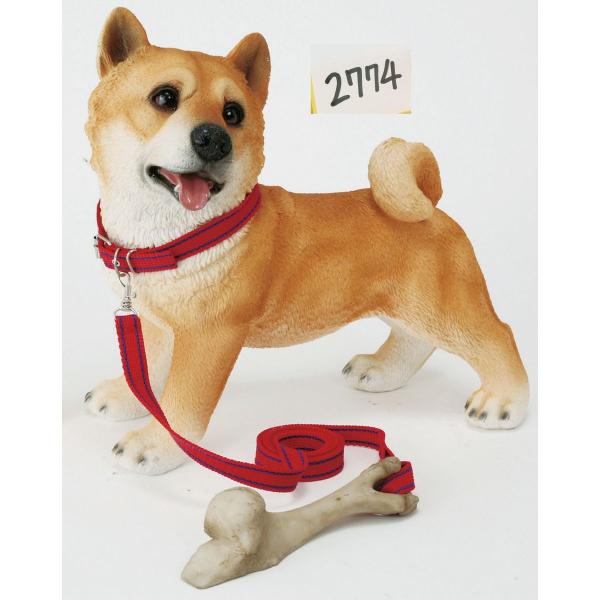 GC`c[I[ hAXgbp[ Č H9396 |pi K[fjOG I[ig u I[ig