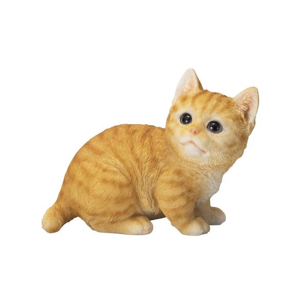 GC`c[I[ qLu `g HH31351 2 |pi K[fjOG I[ig u I[ig