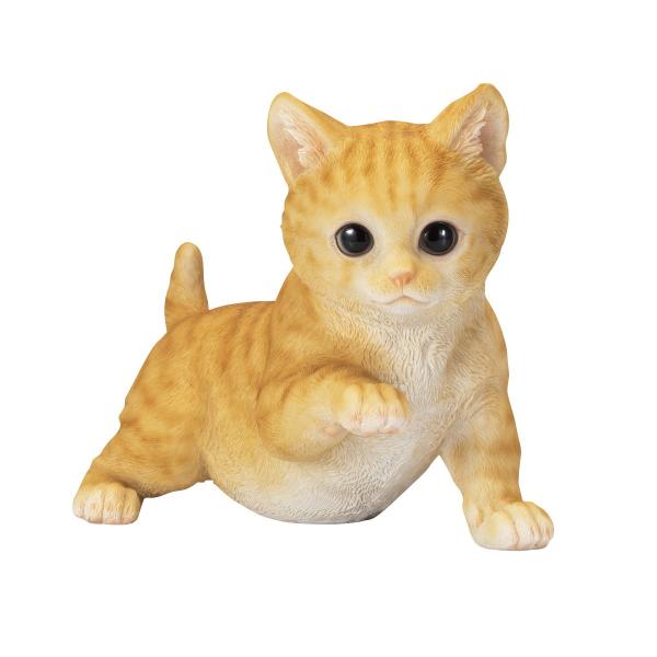 GC`c[I[ qLu `g vCCO HH31355 |pi K[fjOG I[ig u I[ig