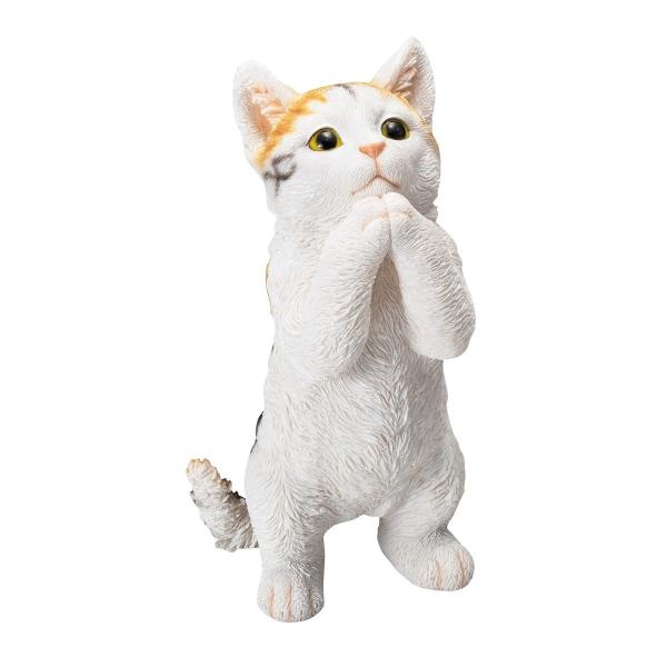 GC`c[I[ 肢Lbgk ~P HH31342 |pi K[fjOG I[ig u I[ig