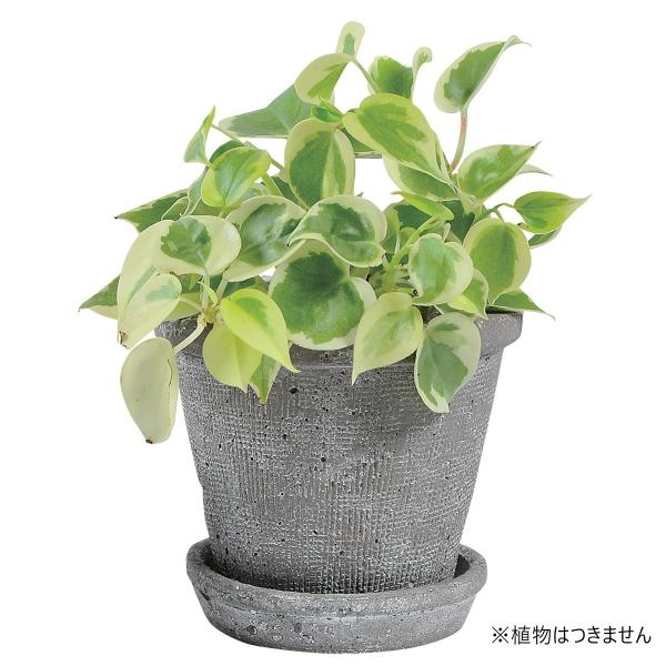 Aؔ  07 DoLABO AKx|bg15 O[ 64735 6 K[fjO |pi t[|bg eRb^ fĂ