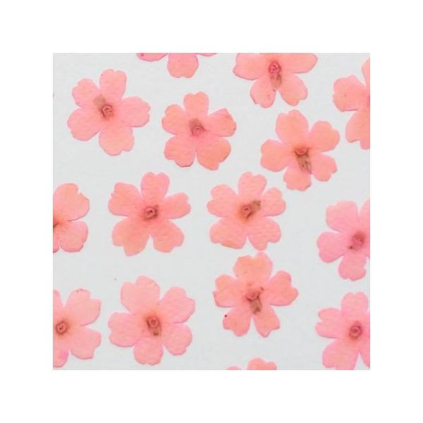 押し花　美品 重厚な気品あふれる押し花アート額 04 その他アート 神戸六甲