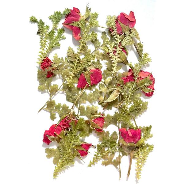 ブーケ 花材の人気商品・通販・価格比較 - 価格.com ブーケ 花材の人気商品・通販・価格比較 - 価格.com