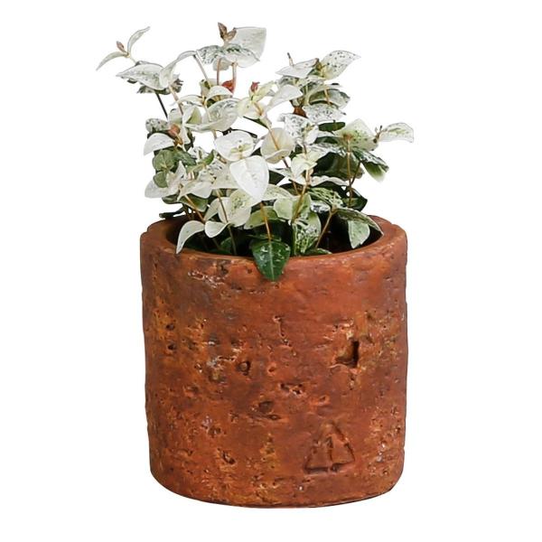 Aؔ  07 Are ubN Eh|bg k uE JLA-604-BR K[fjO |pi t[|bg Zg