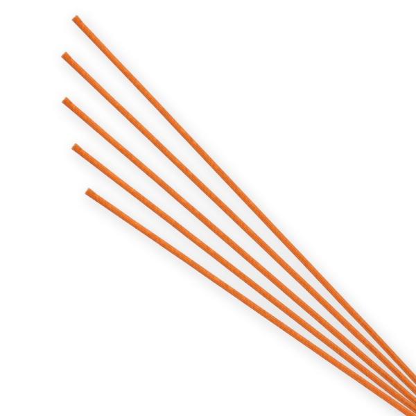 07  IW 004870513 fR[Vp[c f 