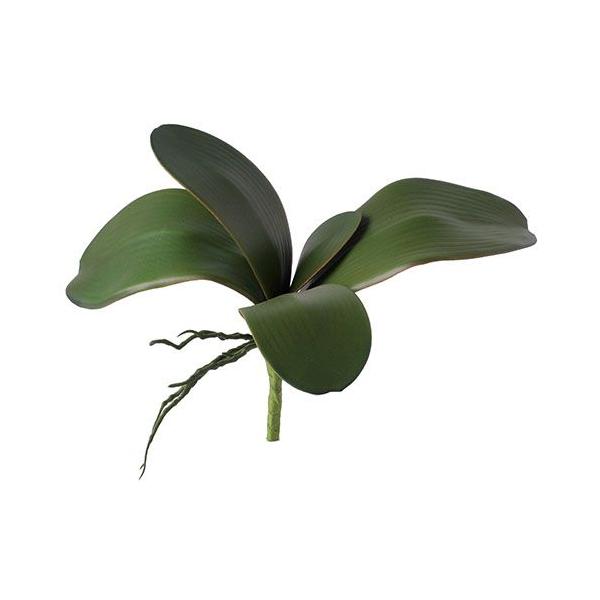 【商品番号：181-21013】/【VAR：】date20240513造花葉物、フェイクグリーン その他の造花グリーン