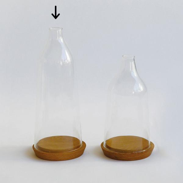 07 u̔ [YKX fBXvC h[ ZF k  372221 Ԋ ԕr h[AKXh[