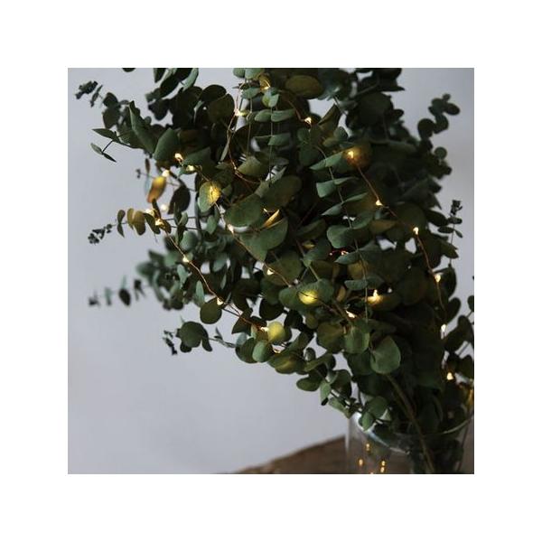 07 u̔ kdc C[Cg uN 1D5 107121 X NX}XfBXvC C~l[VCg