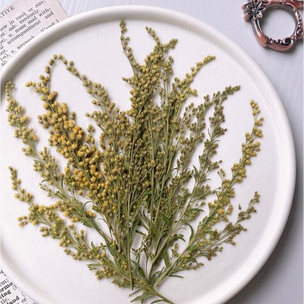 押し花・ドライフラワー花材 EriNa 押し花・ドライフラワー花材 EriNa 押し花 押し花MIX 約33枚 アソート