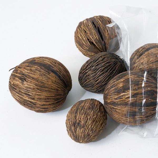 【商品番号：207-02431】/【VAR：】date20251027ドライ実物＆フルーツ 木の実【ホワイエ】