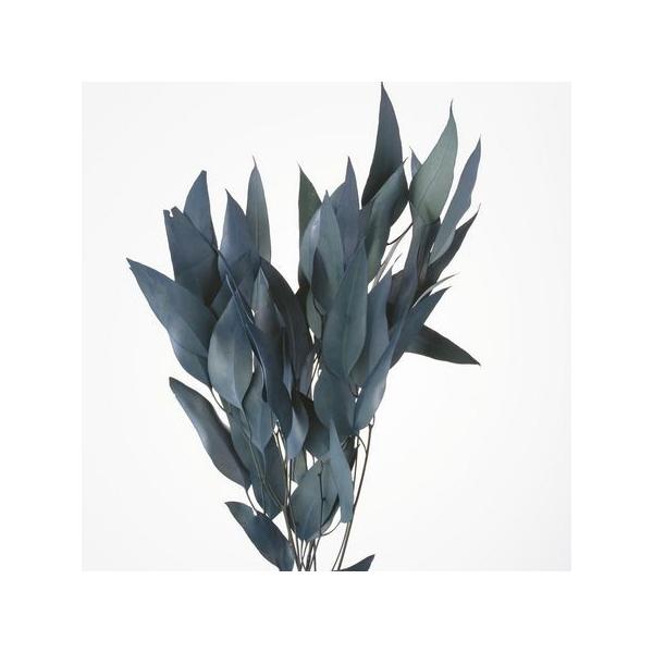 【商品番号：235-00045】/【VAR：54957】20210316new/bk-3009/bk-4007ドライ葉物 葉物