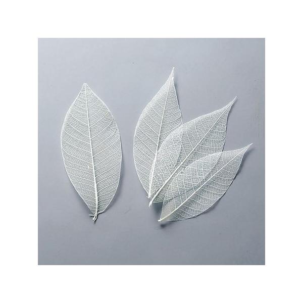 【商品番号：235-00122】/【VAR：4577】20210316new/bk-4007ドライ葉物 リーフ