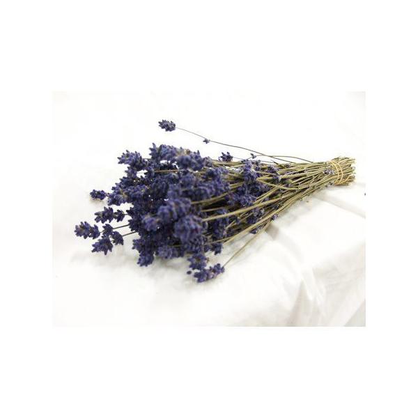【商品番号：235-00158】/【VAR：4373】20210316new/bk-3016/natsulavドライフラワー花材 ラベンダー