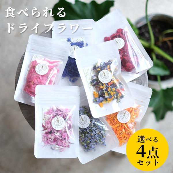 エディブルフラワー ドライ 食用花 選べる4点セット 食べられる花 ドライフラワー ベゴニア ビオラ 送料無料