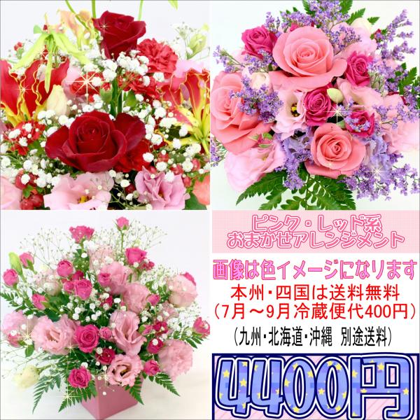 誕生日 記念日 お祝い ピンク レッド系のおまかせアレンジメント4 400円 向島花栄 Yahoo 店 通販 Yahoo ショッピング