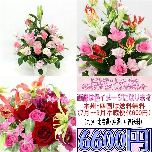 誕生日 記念日 お祝い ピンク レッド系のおまかせアレンジメント6 600円 向島花栄 Yahoo 店 通販 Yahoo ショッピング