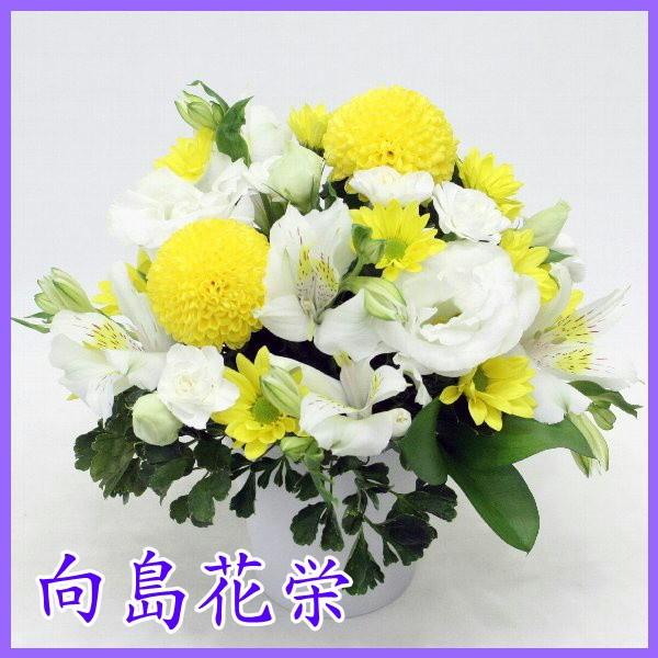 供花 イエローピンポン菊とホワイトフラワーのお供えアレンジメント 向島花栄 Yahoo 店 通販 Yahoo ショッピング
