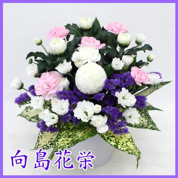 ԁ@eEXv[eEs|êAWg