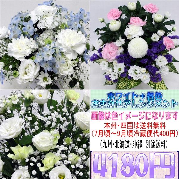 【翌日配達「あすつく」・画像配信 】対応商品送料：本州四国は送料無料（北海道・九州は送料660円・沖縄は送料1,650円）夏期の期間（冷蔵便代400円）ご用途：供花（お供え・命日・法事・法要・お盆・お彼岸・お悔やみ・ペットのお供え）など様々...