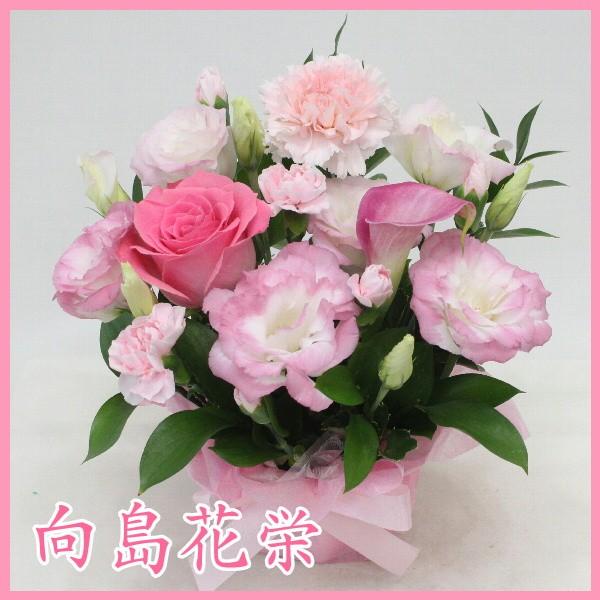 ピンクのお花の可愛い小ぶりなアレンジメント 誕生日 記念日 お祝い 向島花栄 Yahoo 店 通販 Yahoo ショッピング