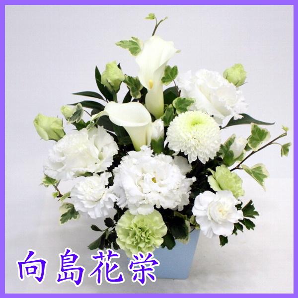 ԁ@r[YXNGAEJ[ƃs|ê