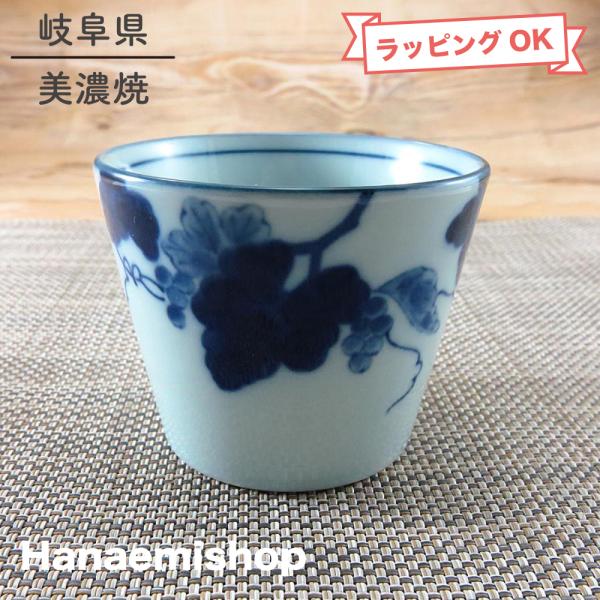 hanaemishop_5-amino-66