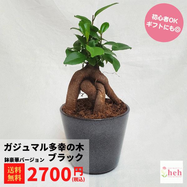 KW} 3.5 픫 ubN 3.5    O   CeA v[g R[fbNX K̖ j ϗt  A 