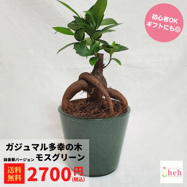 KW} 3.5 픫 XO[ 3.5    O   CeA v[g R[fbNX K̖ j ϗt  A 