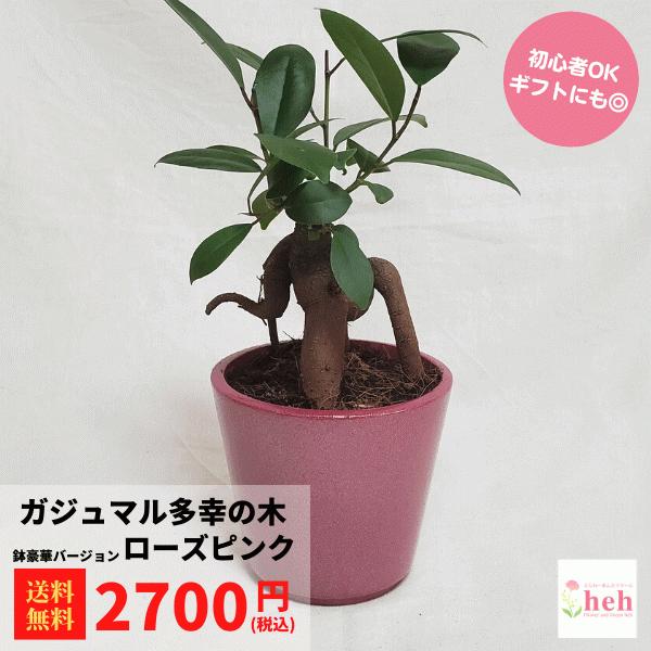 KW} 3.5 픫 [YsN 3.5    O   CeA v[g R[fbNX K̖ j ϗt  A 