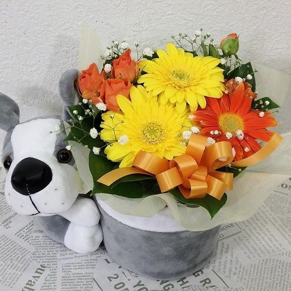 生花 カラー花の人気商品 通販 価格比較 価格 Com